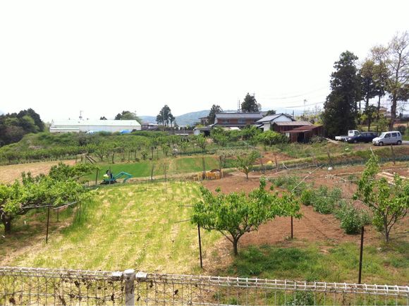 ブログ更新 職場周辺風景