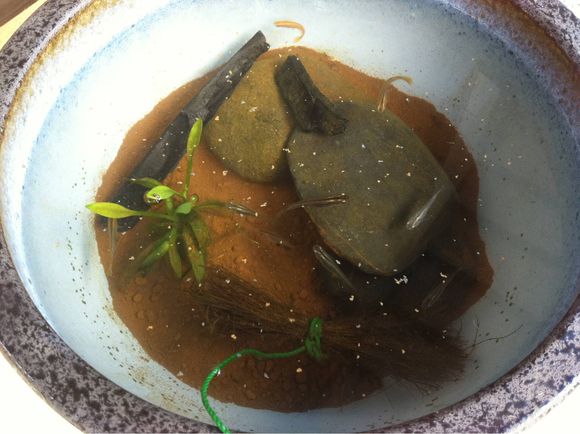 実家のメダカ☆*:.｡. o(≧▽≦)o .｡.:*☆